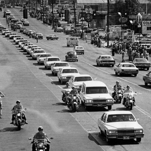 Am 18. August 1977 wird Elvis Leichnam von weißen Cadillacs zum Forrest Hill Friedhof gebracht