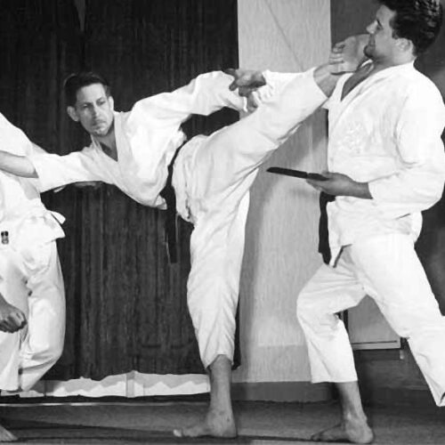Jürgen Seydel während einer Karate-Demonstration 1956